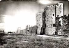 CPM Aigues Mortes Gard la Porte des Moulins et les Remparts Cote Sud 
