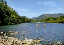 CPM Anduze Gard Camping caravaning Le Castel Rose face a la porte des Cevennes 