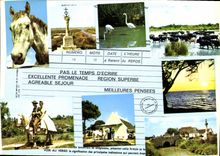CPM En souvenir d'une agreable promenade en Camarque 