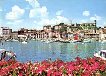 CPM Cannes cote d'Azur le Vieux port et le Suquet 