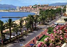 CPM Cannes Cote d'Azur la croisette au fond le Suquet 