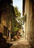CPM Cagnes sur mer A M rue Saint Roch 