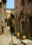 CPM L'Arriere Pays Mediterraneen et ses Vieilles rues pittoresque Tourrettes sur Loup 