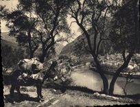 CPM Breil sur Roya A M vue generale Ane Mule