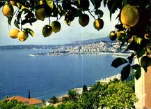CPM La Cote d'Azur miracle de la nature Menton A M vue generale 