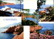 CPM La Cote d'Azur miracle de la nature les Rochers de l'Esterel 