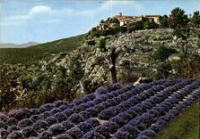 CPM Gourdon Cote d'Azur les Champs de Levande le Vieux Village 