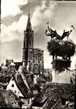 CPM Strasbourg les Cigognes 