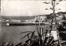 CPM Nice le Chateau et l'entree du Port 