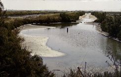 CPM Ars en Re Charente Maritime les Marais Salants 