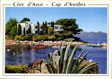 CPM Cote d'Azur Cap d'Antibes Juan les Pins le petit port 