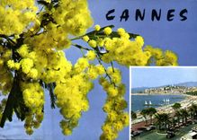 CPM Cannes Cote d'Azur 