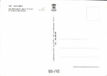 CPM Antibes ses remparts dans le fond la chaine des Alpes