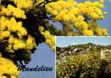 CPM Mandelieu Le Pays du Mimosa vue generale 