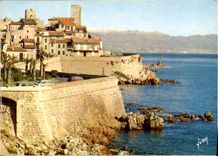 CPM Couleurs et lumiere de France la Cote d'Azur miracle de la nature Antibes Alpes Maritimes la vie