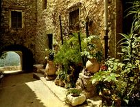 CPM Couleurs et lumiere de France la Cote d'Azur miracle de la nature en provence vieille rue 