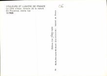 CPM Couleurs et lumiere de France la Cote d'Azur miracle de la nature en provence vieille rue 