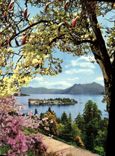 CPM Isola Bella Lac Majeur Printemps 