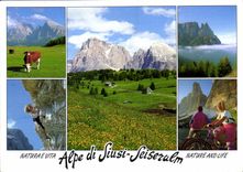 CPM Dolomiti Dolomiten Alpe di Suisi Seiseralm 