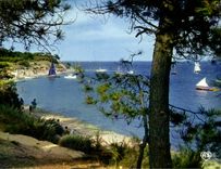 CPM Ile de Re Charente Maritime les portes le Fier 