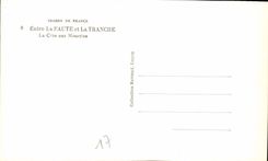 CPM Images de France Entre la Faute et la Tranche la Cote aux Mouettes 