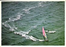 CPM Planche a voile