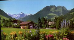 CPM Jardin du Parkhotel Reuteler Gstaad 