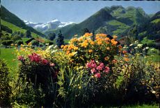 CPM Gstaad Oldenhorn und Staldenfluhe 