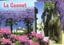 CPM Le Cannet Alpes Maritimes 