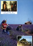 CPM Eze Village Parfumie Fragonard 