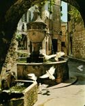 CPM Cote d'Azur French Riviera Saint Paul Alpes Maritimes Colombes devant la fontaine provencale 