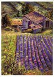 CPM Lavande en Haute Provence Anne Roussel Carnet de Provence 
