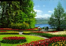 CPM Insee Mainau Im Bodensee 