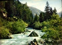 CPM Couleurs et Lumiere de France Torrent de montagne 