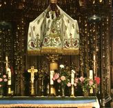 CPM Les Merveilles de Chartres Eure et Loir La cathedrale 