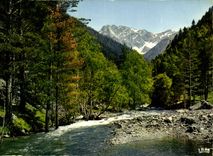 CPM Les Pyrenees Environs de Saint Lary 