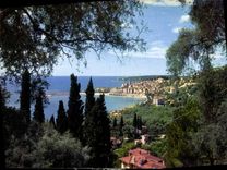 CPM Menton AM Vue generale prise a travers les oliviers 