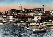 CPM Cannes Le Suquet Bateaux de peche