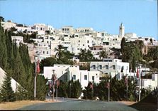 CPM Sidi Bou Said Vue Panoramique 