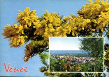 CPM Vence Cote d'Azur Souvenir de Vence 
