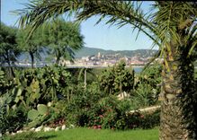 CPM Cote d'Azur Cannes 