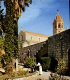 CPM Ile St Honorat Cannes Alpes Maritimes Abbaye de Norte Dame de Lerins Le Jardin de St Bernard 