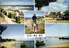 CPM Ile De Re Re Saint Martin La Plage de Trousse Chemise Lane en culottes La Couarde Rivedoux 