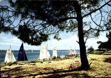 CPM Ile De Re Re La Plage de Trousse Chemise Ecole de Voile 