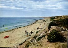 CPM Ile De Re Charente Maritime La Nour La Plage des Grenades 