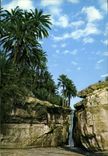 CPM Tamerza Oasis de Montagne 