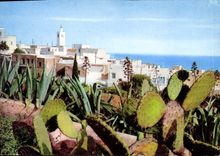 CPM Sidi Bou Said Vue Generale 