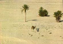 CPM Sud Tunisien Vers le Sahara 
