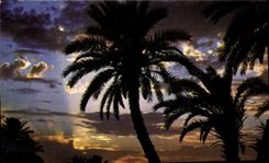 CPM La Cote d'Azur inoubliable 