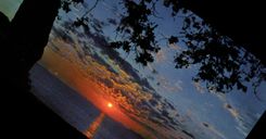 CPM La Cote d'Azur Coucher de Soleil 